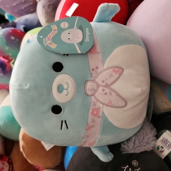Dorgee squishmallows box lunch Exclusive 8 inch new Seal - Picture 1 of 7